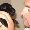 pups_2_weeks_old_062-medium