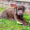 263836004_3062472747329242_98749680768898231_n