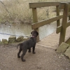 toby_12_weeks_043-medium